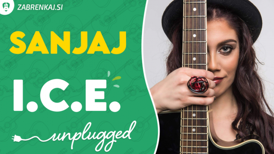 I.C.E. - Sanjaj